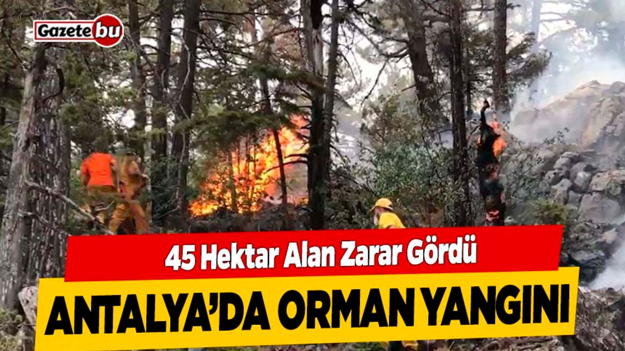 Antalya'da Orman Yangını : 45 Hektar Alan Zarar Gördü