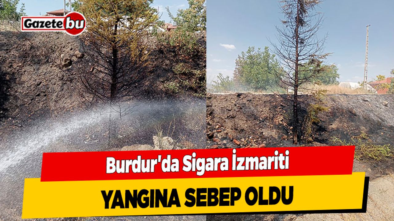 Burdur'da Sigara İzmariti Yangına Sebep oldu