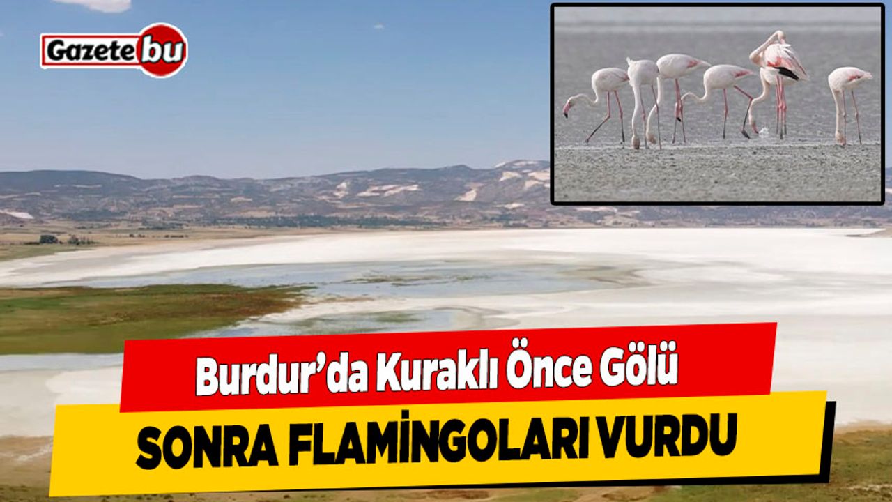 Burdur'da kuraklık önce gölü, sonra flamingoları vurdu