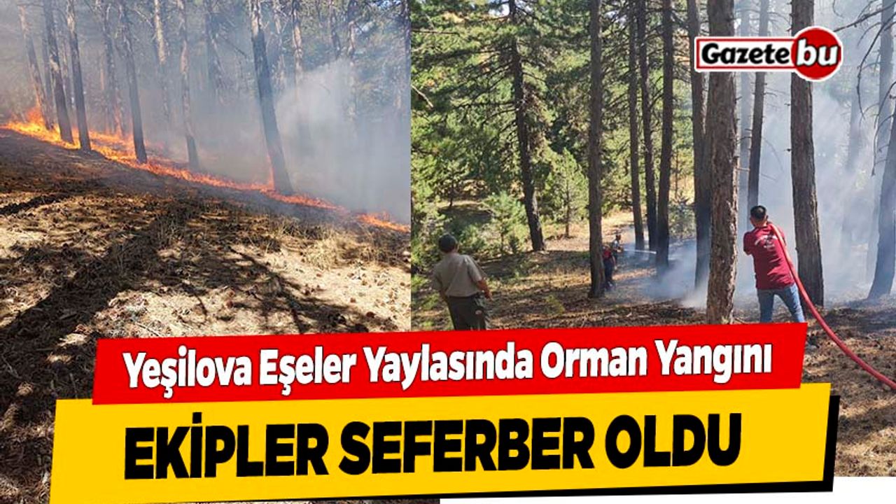 Burdur'da Korkutan Yangın: Ekipler Kısa Sürede Söndürdü