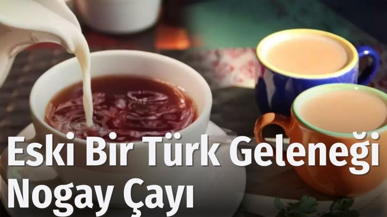 Eski Bir Türk Geleneği, Nogay Çayı