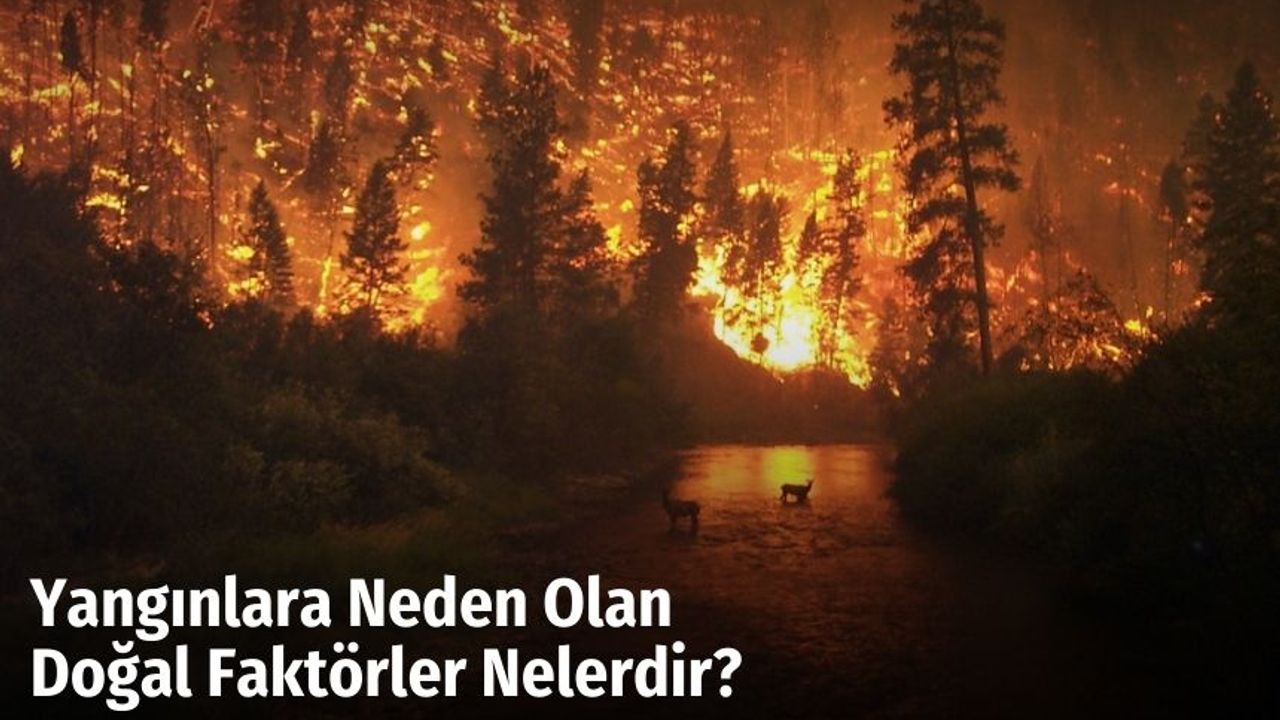 Yangınlara Neden Olan Doğal Faktörler Nelerdir?