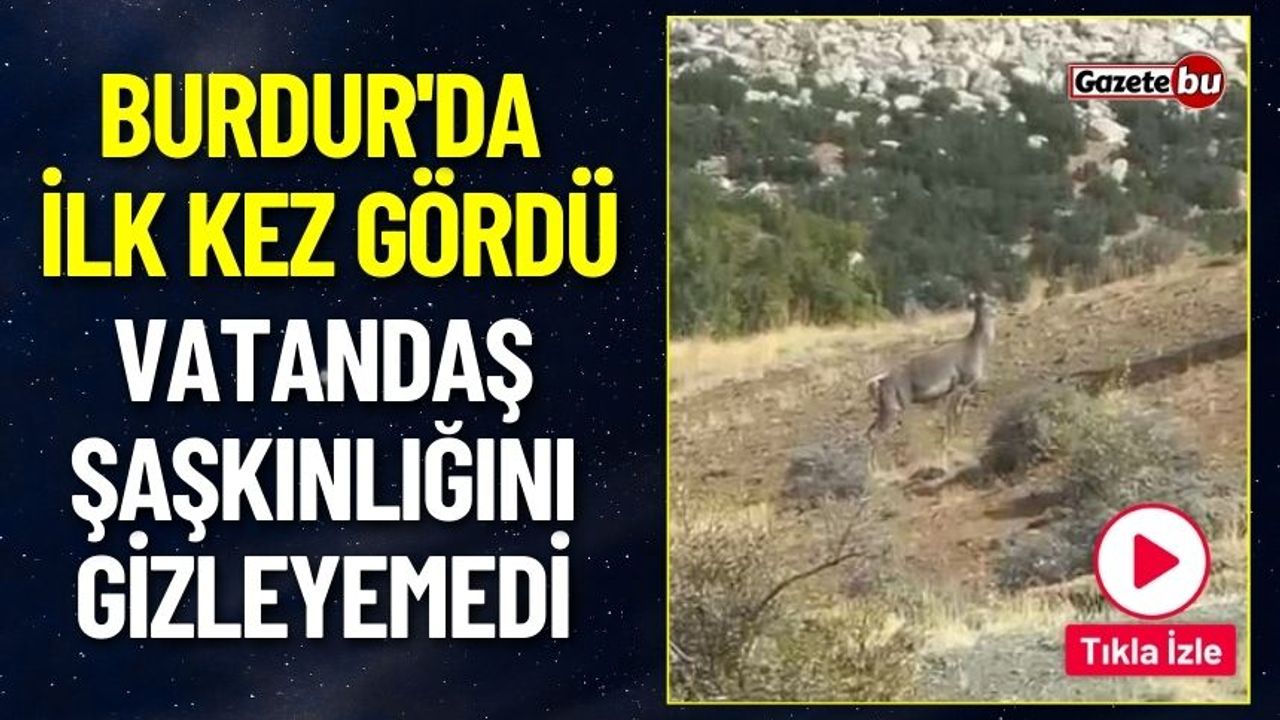 Burdur'da İlk Kez Gördü Şaşkınlığı Gizleyemedi