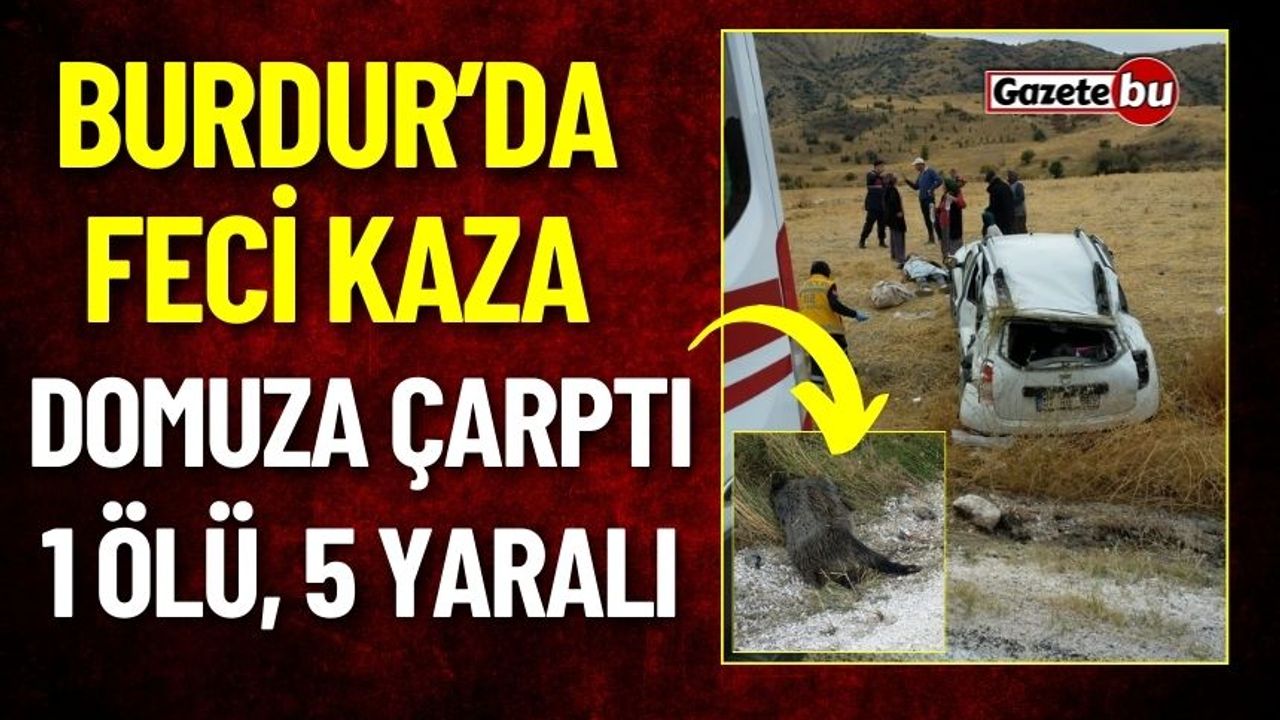 Burdur'da Otomobil Domuza Çarptı: 1 Ölü 5 Yaralı