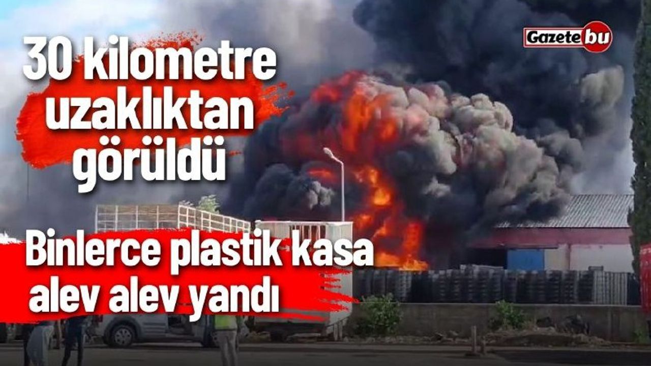 Antalya'da Plastik Fabrikası Yangını