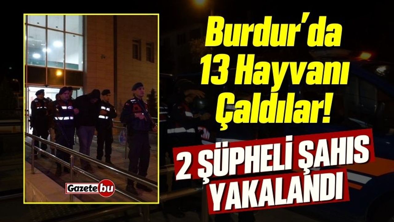 Burdur'da 13 Hayvanı Çaldılar! 2 Şüpheli Yakalandı