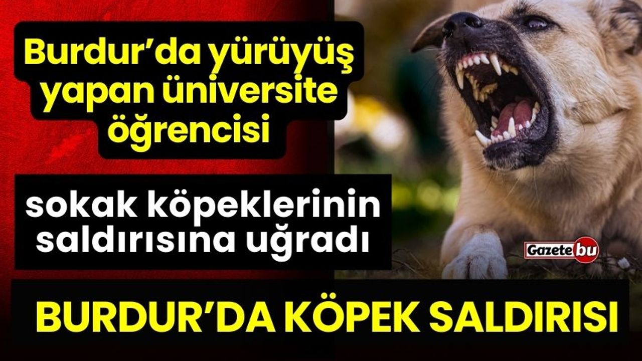 Burdur'da Başı Boş Köpekler Genç Kıza Saldırdı