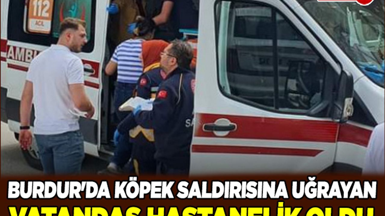 Burdur'da köpek saldırısına uğrayan vatandaş hastanelik oldu