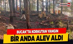 Bucak'ta Korkutan Yangın: Bir Anda Alev Aldı