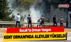 Bucak Kent Ormanı'nda Yangın