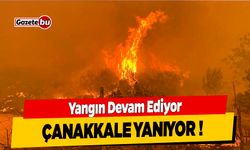 Çanakkale Yanıyor ! Yangın Evlere Yaklaştı