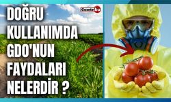 Doğru Kullanımda GDO'nun Faydaları Nelerdir ?