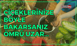 Çiçeklerinize Böyle Bakarsanız Ömrü Uzar...