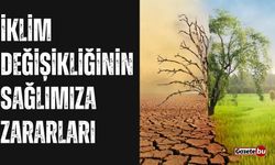 İklim Değişikliğinin Sağlığa Zararları