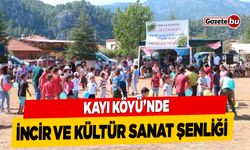 Kayı Köyü İncir Ve Kültür Sanat Şenliği Yapılacak