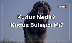 Kuduz Nedir? Kuduz Bulaşıcı Mı? Kuduzdan Nasıl Korunulur ?