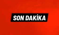 Bucak'ta Odunluk Yangını!
