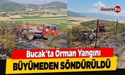 Bucak'ta Orman Yangını Büyümeden Söndürüldü