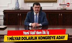 Yeni Vali'den İlk İş, 1 Milyar Dolarlık Kongreye Aday