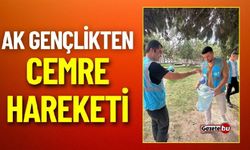 AK Gençlik'ten 81 İlde Cemre Hareketi