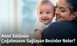 Anne Sütünün Çoğalmasını Sağlayan Besinler Neler?