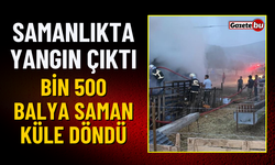 Samanlıkta Yangın Çıktı: Bin 500 Balya Saman Küle Döndü