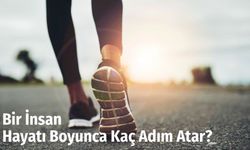 Bir İnsan Hayatı Boyunca Kaç Adım Atar?