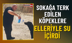 Sokağa Terk Edilen Köpeklere Elleriyle Su İçirdi