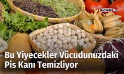 Bu Yiyecekler Vücudunuzdaki Pis Kanı Temizliyor