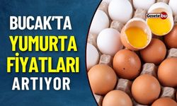 Bucak'ta Yumurta Fiyatları Artıyor