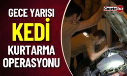 Gece Yarısı Kedi Kurtarma Operasyonu