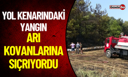 Yol Kenarındaki Yangın Arı Kovanlarına Sıçrıyordu