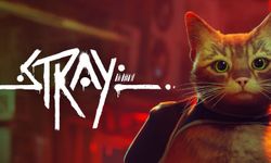 Stray'in Animasyon Filmi Geliyor!