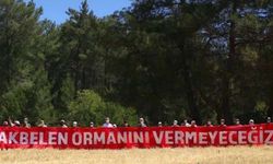 Akbelen Ormanlarında Dünya Barış Günü