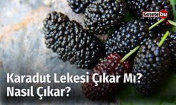 Karadut Lekesi Çıkar Mı? Nasıl Çıkar?