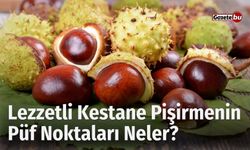 Lezzetli Kestane Pişirmenin Püf Noktaları Neler?