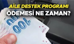 Eylül ayında aile destek programı.. 1.250 TL hesaplara yatacak!