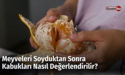 Meyveleri Soyduktan Sonra Kabukları Nasıl Değerlendirilir?