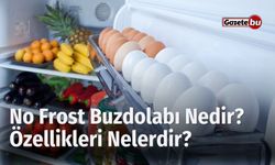 No Frost Buzdolabı Nedir? Özellikleri Nelerdir?