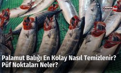 Palamut Balığı En Kolay Nasıl Temizlenir? Püf Noktaları Neler?