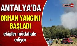 Orman Yangınına Havadan ve Karadan Müdahale