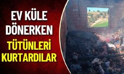 Ev Küle Dönerken Tütünleri Kurtardılar