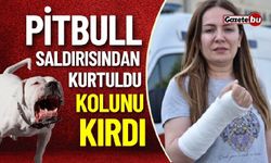 Pitbull Saldırısından Kurtuldu Kolunu Kırdı