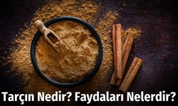 Tarçın Nedir? Faydaları Nelerdir?