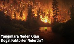 Yangınlara Neden Olan Doğal Faktörler Nelerdir?
