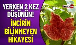 İncirin Bilinmeyen Hikayesi Sizi Çok Şaşırtacak