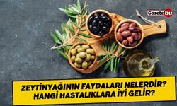 Zeytinyağının Faydaları Nelerdir? Hangi Hastalıklara İyi Gelir?