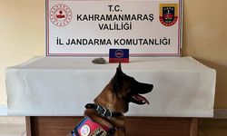 Jandarma Göz Açtırmıyor: Uyuşturucu Şüphelileri Yakalandı!