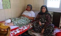 Uyuşturucu Bağımlısı Evini Yaktı Kardeşini Vurdu