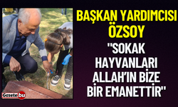 Başkan Yardımcısı Özsoy "Sokak Hayvanları Bize Bir Emanettir"